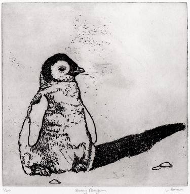 Baby Penguin - Etching - Limited Edition of 20 thumb