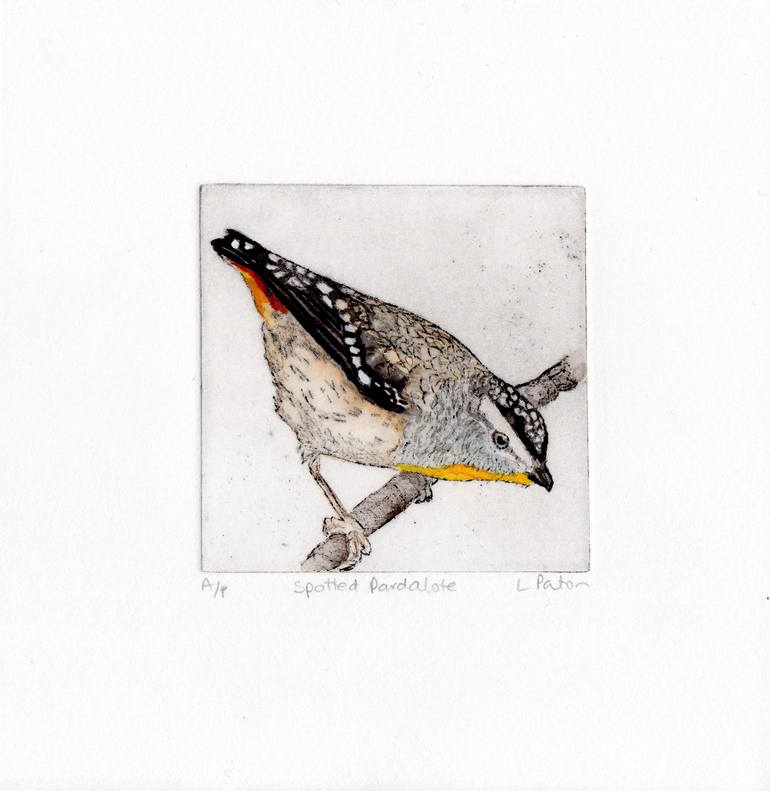 Original Animal Printmaking by Lydie Paton