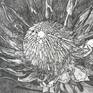 King Protea, a plant that is native to South Africa, and a popular cut flower.
Paper: 52 (w) x 57 (h) cm
Plate: 28 (w) x 45 (h) cm
Etching - Charbonnel Ink on BFK 280gsm fine printmaking paper. BFK is mould produced in France and made of 100% cotton. The impression was hand-pulled, and this is the first edition made from the aluminium plate.