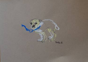 Print of Dogs Drawings by Anna Sadzik