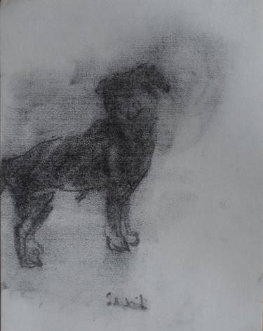 Print of Impressionism Dogs Drawings by Anna Sadzik