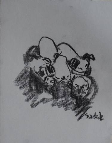 Original Dogs Drawings by Anna Sadzik