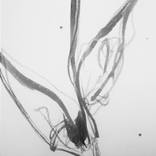 JOSE TRUJILLO - Abstract Expressionist Ink Wash Calla Lily Flower Art Original by Jose Trujillo