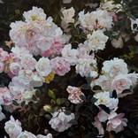 Aglow in the Night. by Vera Higgins
