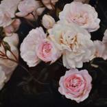 Cluster. by Vera Higgins