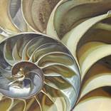 Collection Harmonious Art