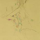 Collection nude and figure