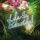 Disco in the Jungle: Life is Beautiful - When Flowers Dance by Yee Wong