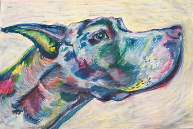 Print of Dogs Drawings by Jan Barzottini