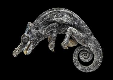 Two-Horned Chameleon - Limited Edition of 5 thumb