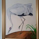 Whooping Crane by Michael Tucker