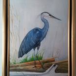 Great Blue Heron by Michael Tucker