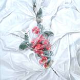 Collection Best of 2025: The Other Art Fair