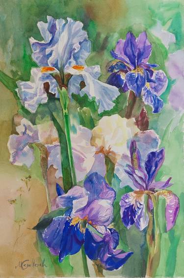 Original Contemporary Botanic Paintings by Maria McCulloch