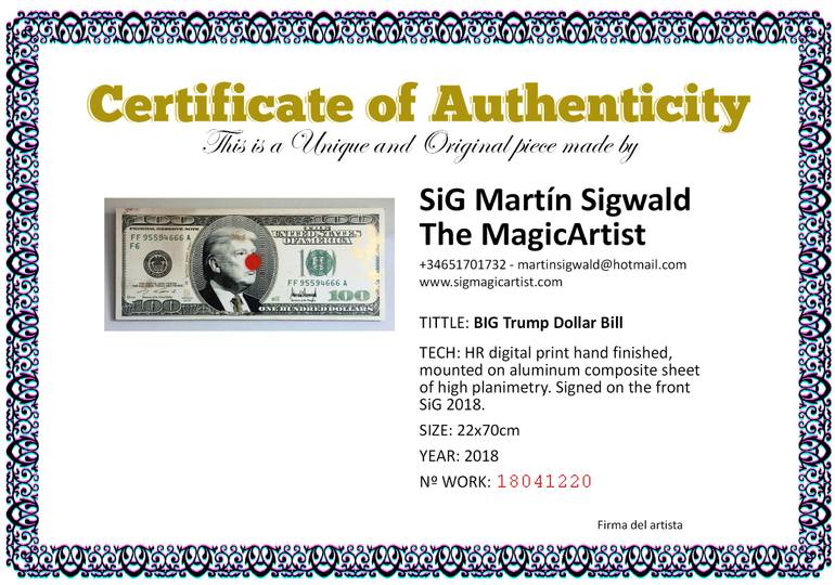 Original Conceptual Other Mixed Media by Martin Sigwald