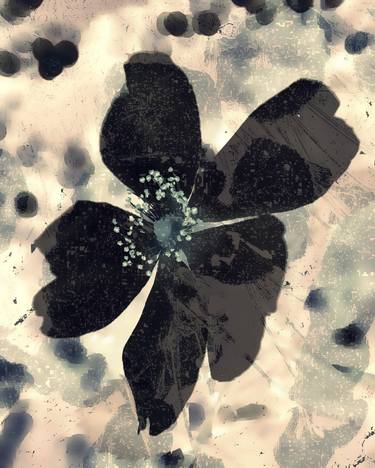 Original Fine Art Floral Digital by Jb Ols