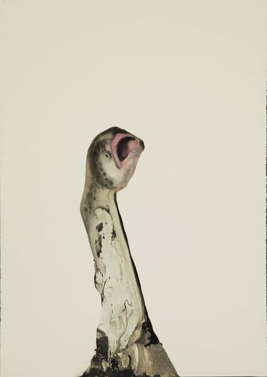 Print of Conceptual Animal Paintings by Paula Segarra
