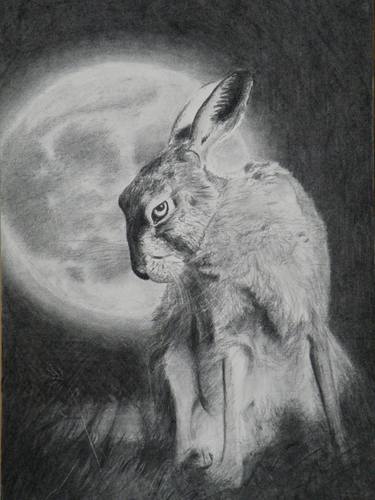 Original Black & White Animal Drawing by Dean Harkness