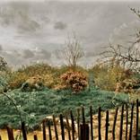 Wonderland, The British Landscape Series by TheTink Bar