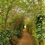 Follow the White Rabbit, The British Landscape Series by TheTink Bar