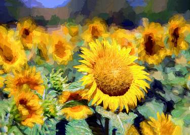 Sunflowers, Italy - Limited Edition 2 of 20 thumb