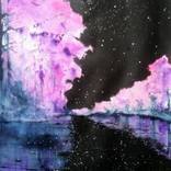 A mirror for the stars by Benny Smet
