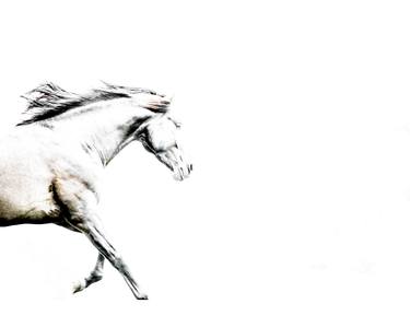 Print of Fine Art Horse Photography by Pippa Wagstaff