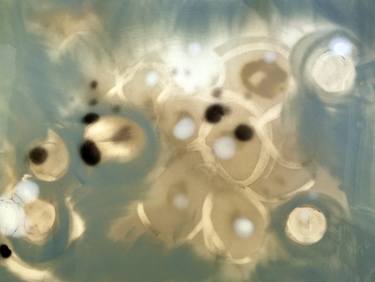 Petri Dish: Milkweed I thumb