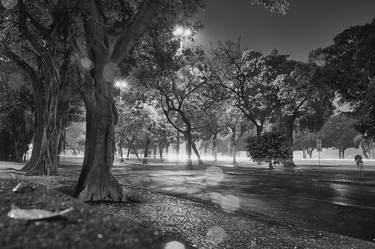 Print of Photorealism Tree Photography by Joao van Schothorst