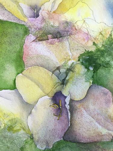 Original Impressionism Floral Paintings by Nancy Sewell