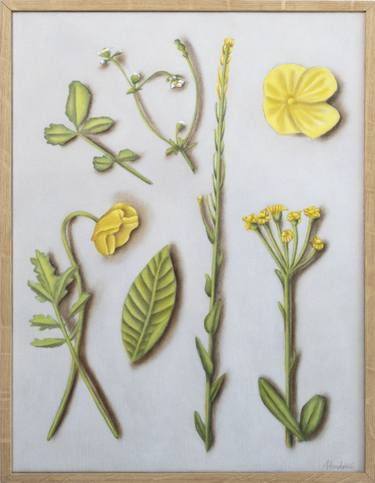 Original Figurative Botanic Paintings by Marianne Hendriks
