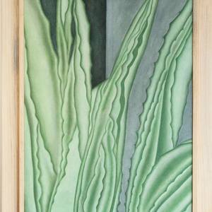 Agave Artis