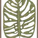 Collection 2017 - Botanicus C.I