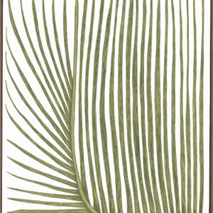 Limited Spring 2 2019