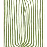 Collection 2019 - Botanicus C.III