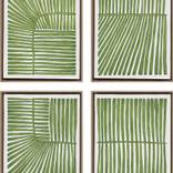 Collection 2019 - Botanicus C.III