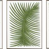 Collection Color Story: Green