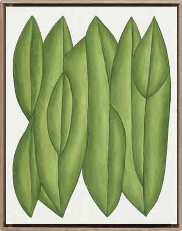 Original Botanic Paintings by Marianne Hendriks