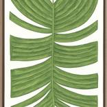 Collection 2020 - Botanicus C.IV
