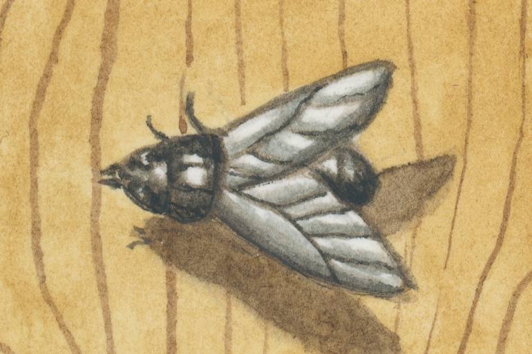 Original Conceptual Still Life Painting by Marianne Hendriks