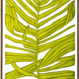 Collection TOAF LA & Dallas Inspirations (Int.)