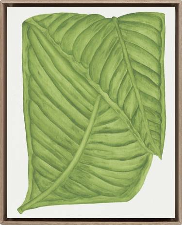 Original Conceptual Botanic Paintings by Marianne Hendriks