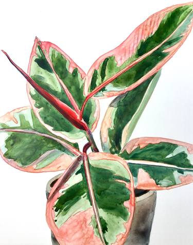 Original Figurative Botanic Paintings by Marielle Robichaud