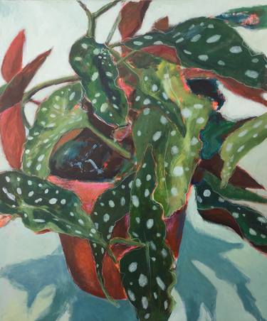 Original Botanic Paintings by Marielle Robichaud
