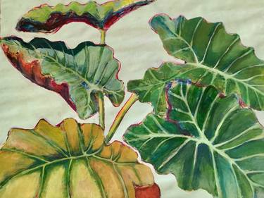 Original Figurative Botanic Paintings by Marielle Robichaud