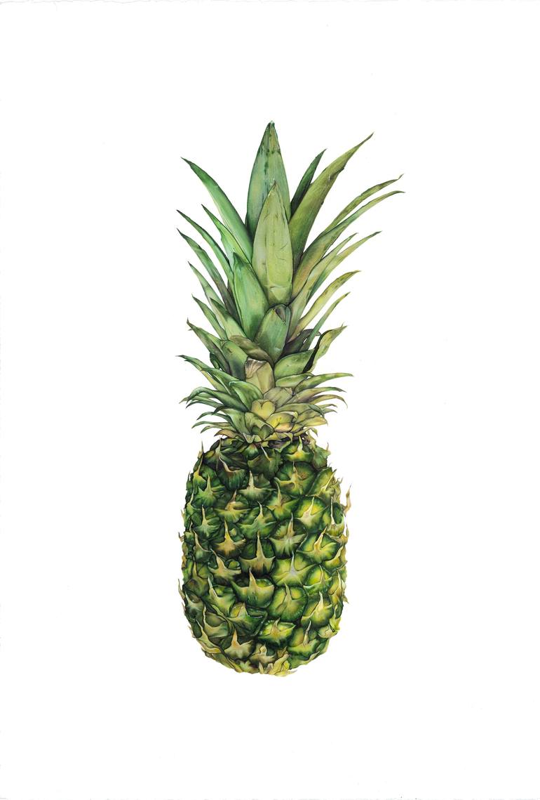 Pineapple Drawing Drawing By Hannah Sarfraz Saatchi Art