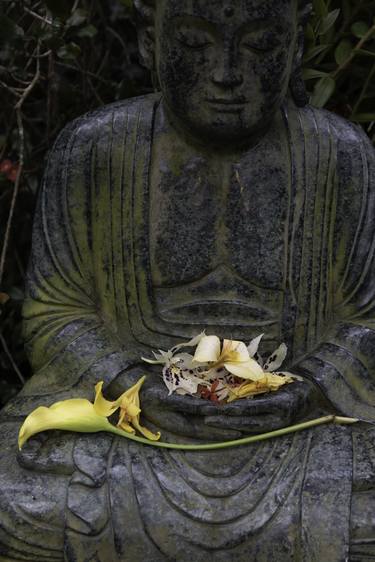 Buddha and Lily thumb