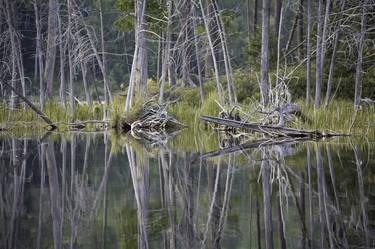 Original Fine Art Landscape Photography by Harvey Schipper