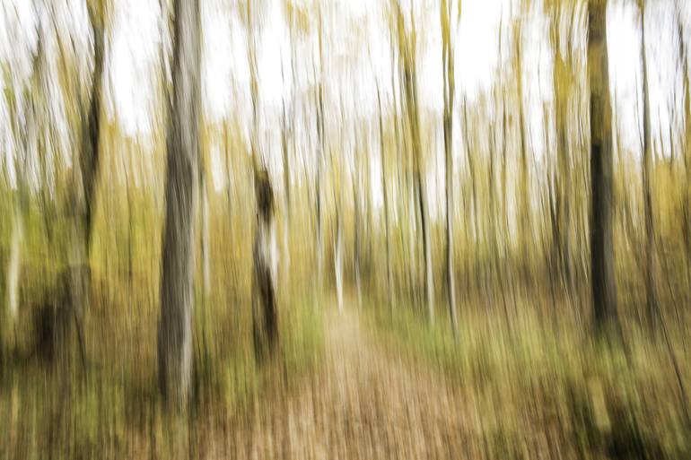 Original Fine Art Abstract Photography by Harvey Schipper