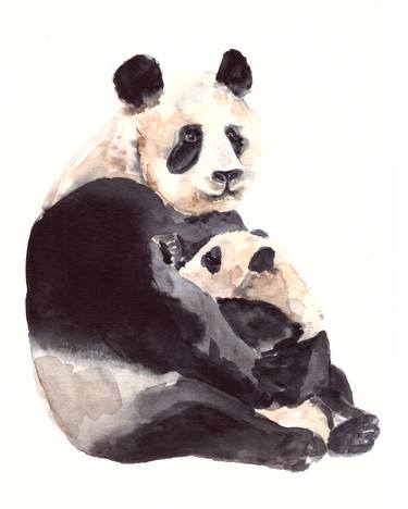 Panda Mother thumb